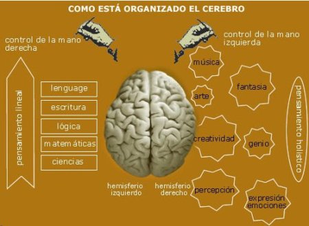 neurociencia